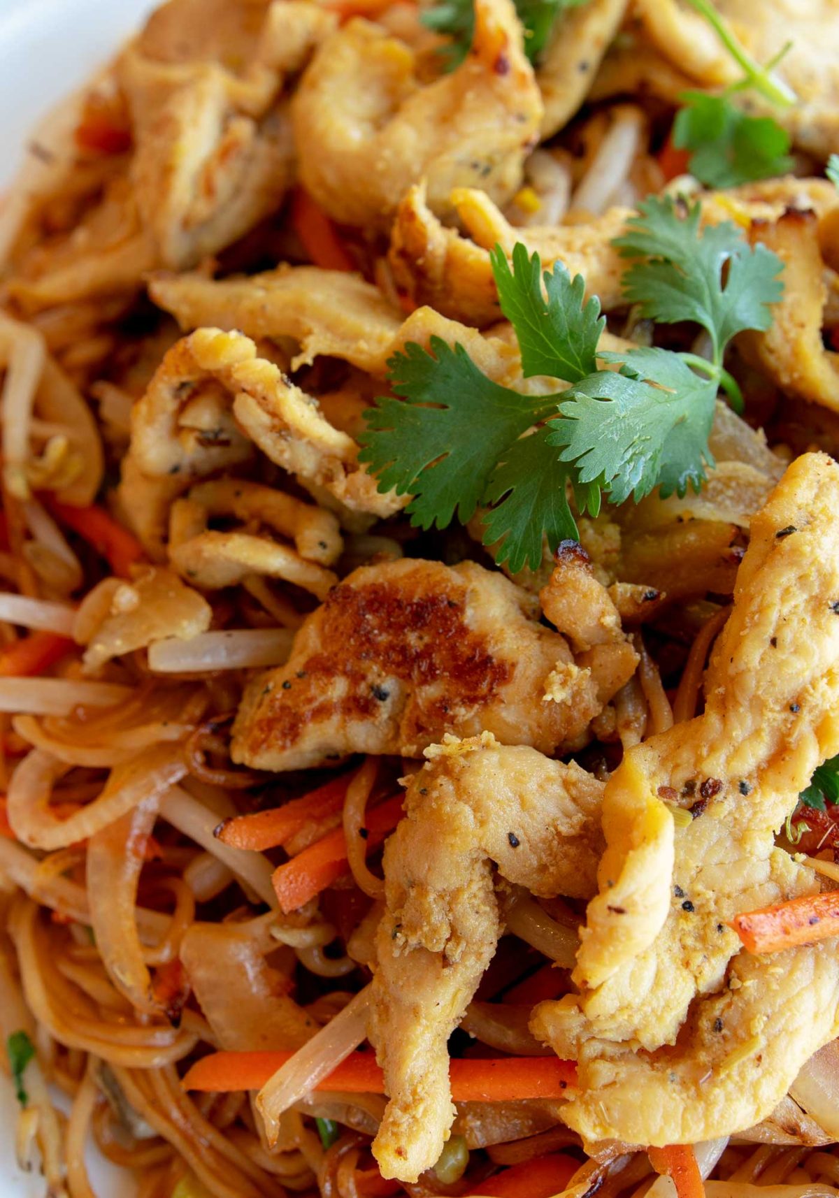 N11 Tofu Noodles – CoCo Vietnamese Restaurant